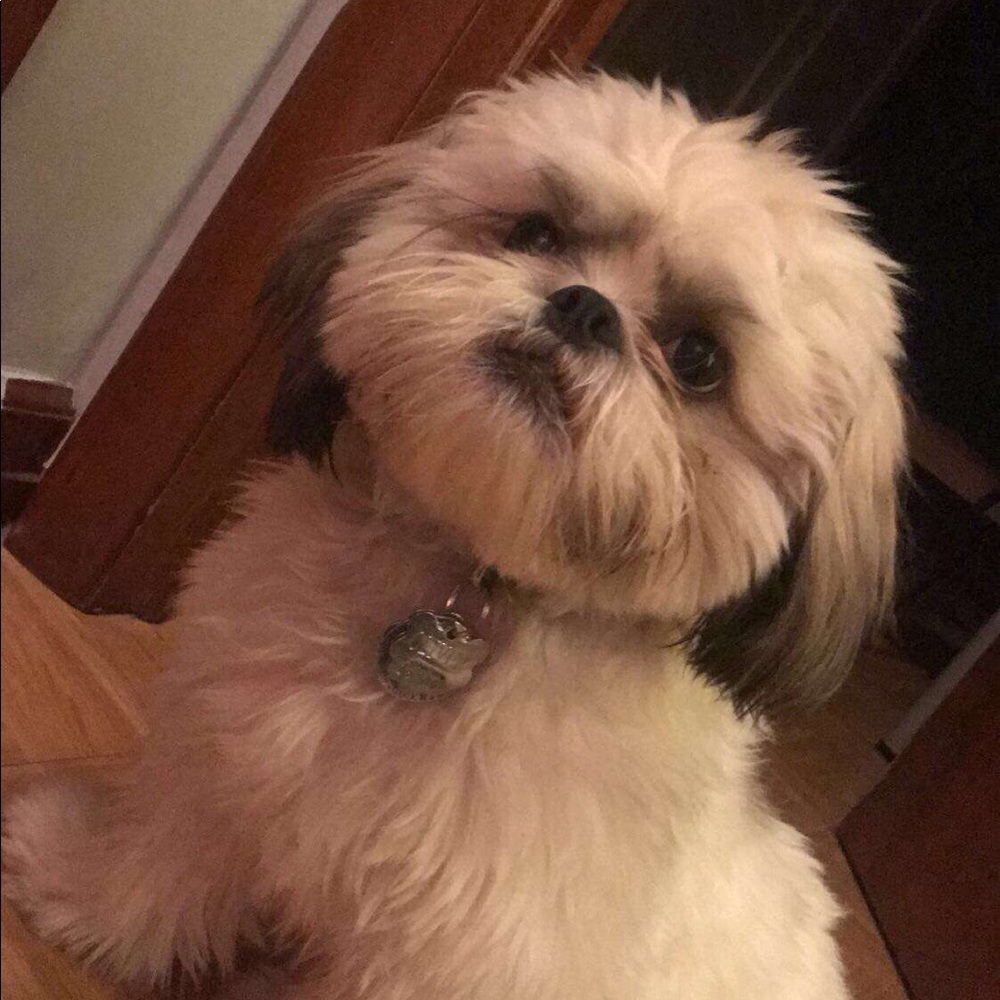 Meet your Posher, Rena